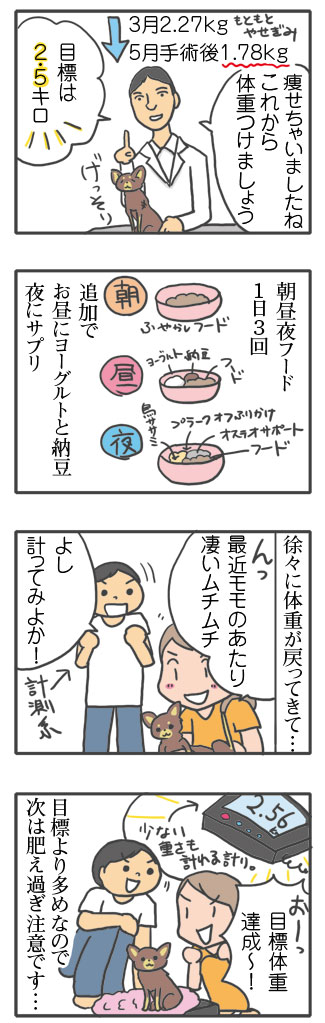 犬 体重 痩せ やせ 太 増 重 心臓病 保護犬 老犬 チワワ 多頭 手術 僧帽弁閉鎖不全症 元保護犬 引取 埼玉 イラスト 絵 まんが 漫画 マンガ