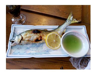 犬 居酒屋 そば 蕎麦 馬刺 日本酒 栃木 名酒 ダイナ だいな 大那 元保護犬 老犬 高齢 旅行 旅 車 那須 栃木 ペット ok 犬連 犬連れ 爺 ワン 心臓病 里親 保護犬 チワワ 多頭 手術 イラスト 絵 まんが 漫画 マンガ