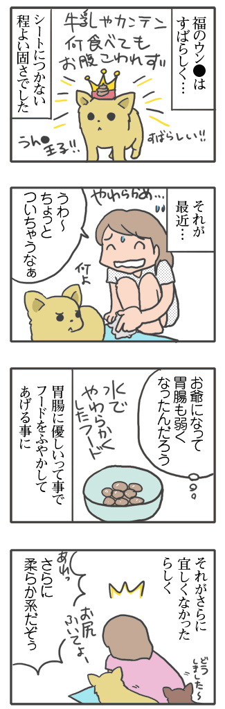 軟便 犬 歳 加齢 老 検査 便 刺 腹 脂肪腫 16歳 心臓病 保護犬 老犬 チワワ 多頭 治療 我慢 イラスト 絵 まんが 漫画 マンガ
