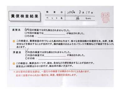 犬 歳 加齢 老 検査 便 刺 腹 脂肪腫 16歳 心臓病 保護犬 老犬 チワワ 多頭 治療 我慢 イラスト 絵 まんが 漫画 マンガ