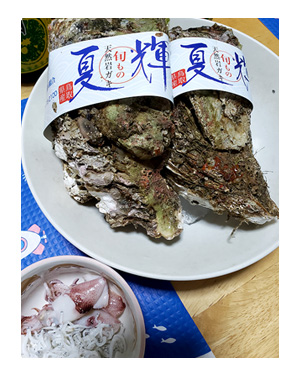 口内炎 こうないえん 炎症 クチ 大きい 何日 完治 痛 ふるさと 納税 牡蠣 かき カキ 夏輝 なつき 鳥取 ブランド イラスト 絵 まんが 漫画 マンガ