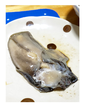口内炎 こうないえん 炎症 クチ 大きい 何日 完治 痛 ふるさと 納税 牡蠣 かき カキ 夏輝 なつき 鳥取 ブランド イラスト 絵 まんが 漫画 マンガ