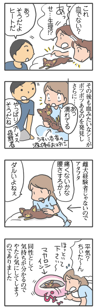 犬 元保護犬 避妊 手術 乳腺 腫瘍 検査 吐く ヒート 生理 キャンセル 麻酔 心臓病 保護犬 チワワ クラーク 八王子 動物 イラスト 絵 まんが 漫画 マンガ