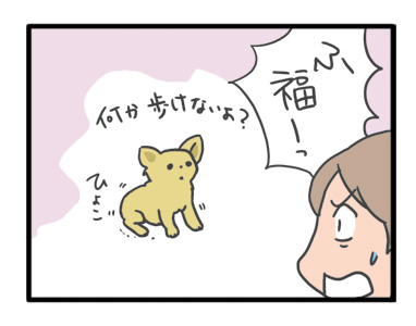 犬 足 滑り 滑り止め 筋力 老化 老犬 介護 歩 散歩 パウ paw wing シール 靴下 高齢 爺 婆 ワン 心臓病チワワ イラスト 絵 まんが 漫画 マンガ