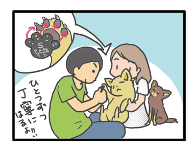 犬 足 滑り 滑り止め 筋力 老化 老犬 介護 歩 散歩 パウ paw wing シール 靴下 高齢 爺 婆 ワン 心臓病チワワ イラスト 絵 まんが 漫画 マンガ