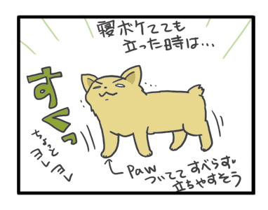 犬 足 滑り 滑り止め 筋力 老化 老犬 介護 歩 散歩 パウ paw wing シール 靴下 高齢 爺 婆 ワン 心臓病チワワ イラスト 絵 まんが 漫画 マンガ