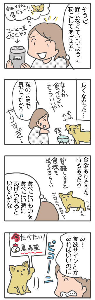 犬 あるある 老犬 食 工夫 食欲不振 飼主 老人 高齢 爺 婆 ワン 心臓病 里親 保護犬 チワワ 多頭 手術 元保護犬 イラスト 絵 まんが 漫画 マンガ