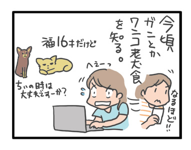 犬 癌 ガン 抗がん剤 治療 抗ガン 腹 肺 老犬 老人 高齢 爺 心臓 保護犬 チワワ 手術 元保護犬 イラスト 絵 まんが 漫画 マンガ
