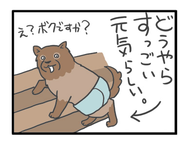 犬 癌 ガン 抗がん剤 治療 抗ガン 腹 肺 老犬 老人 高齢 爺 心臓 保護犬 チワワ 手術 元保護犬 イラスト 絵 まんが 漫画 マンガ