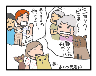 犬 癌 ガン 抗がん剤 治療 抗ガン 腹 肺 老犬 老人 高齢 爺 心臓 保護犬 チワワ 手術 元保護犬 イラスト 絵 まんが 漫画 マンガ