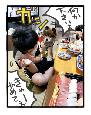 犬 家族 集合 初 対面 唐揚 骨 会合 ワンコ 癌 ガン 分子標的薬 抗がん剤 老犬 老人 高齢 爺 心臓 保護犬 チワワ 手術 元保護犬 イラスト 絵 まんが 漫画 マンガ