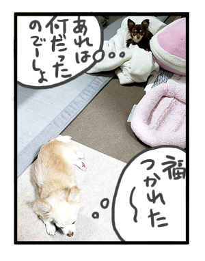 犬 家族 集合 初 対面 唐揚 骨 会合 ワンコ 癌 ガン 分子標的薬 抗がん剤 老犬 老人 高齢 爺 心臓 保護犬 チワワ 手術 元保護犬 イラスト 絵 まんが 漫画 マンガ