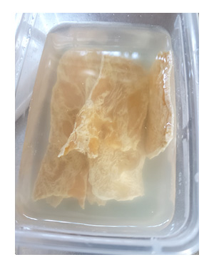 犬 てんかん 発作 再 フェノバール ダイアップ ゾニサミド ふらつき 副作用 パラディア 癌 ガン 分子標的薬 抗がん剤 治療 抗ガン 腹 肺 老犬 老人 高齢 爺 心臓 保護犬 チワワ 手術 元保護犬 イラスト 絵 まんが 漫画 マンガ
