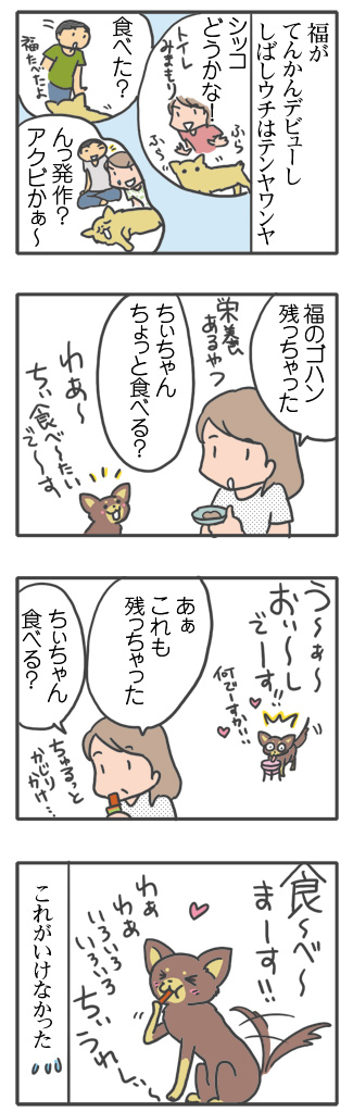 犬 元保護犬 避妊 手術 乳腺 腫瘍 検査 吐く ヒート 生理 キャンセル 麻酔 心臓病 保護犬 チワワ クラーク 八王子 動物 イラスト 絵 まんが 漫画 マンガ