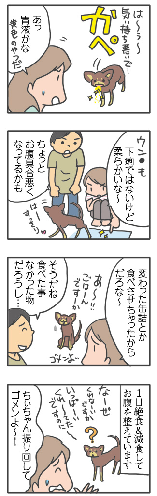 犬 元保護犬 避妊 手術 乳腺 腫瘍 検査 吐く ヒート 生理 キャンセル 麻酔 心臓病 保護犬 チワワ クラーク 八王子 動物 イラスト 絵 まんが 漫画 マンガ