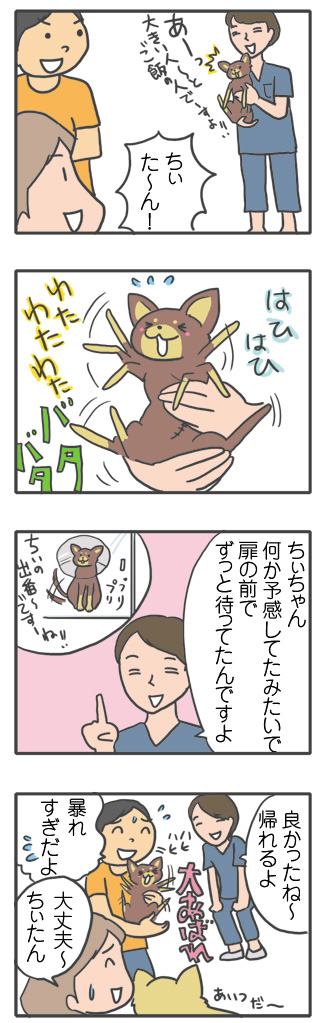 犬 元保護犬 避妊 手術 乳腺 腫瘍 検査 吐く ヒート 生理 キャンセル 麻酔 心臓病 保護犬 チワワ クラーク 八王子 動物 イラスト 絵 まんが 漫画 マンガ