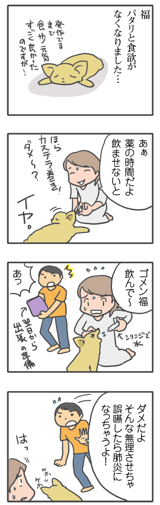 犬 薬 飲まない クスリ のませ方 飲ませかた 胸水 てんかん プレドニン ステロイド 発作 フェノバール ダイアップ 癌 ガン 分子標的薬 抗がん剤 治療 老犬 心臓 保護犬 チワワ イラスト 絵 まんが 漫画 マンガ
