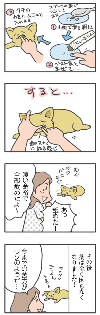 犬 薬 飲まない クスリ のませ方 飲ませかた 胸水 てんかん プレドニン ステロイド 発作 フェノバール ダイアップ 癌 ガン 分子標的薬 抗がん剤 治療 老犬 心臓 保護犬 チワワ イラスト 絵 まんが 漫画 マンガ
