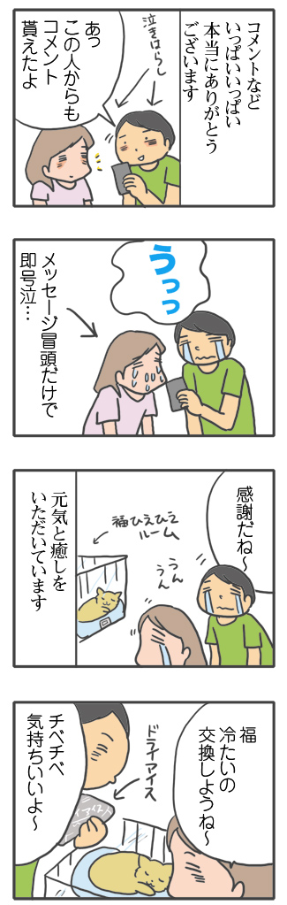 犬 お礼 感謝 ありがとう 昇 虹 天国 胸水 てんかん プレドニン ステロイド 発作 フェノバール 癌 ガン 分子標的薬 抗がん剤 老犬 心臓 保護犬 チワワ イラスト 絵 まんが 漫画 マンガ