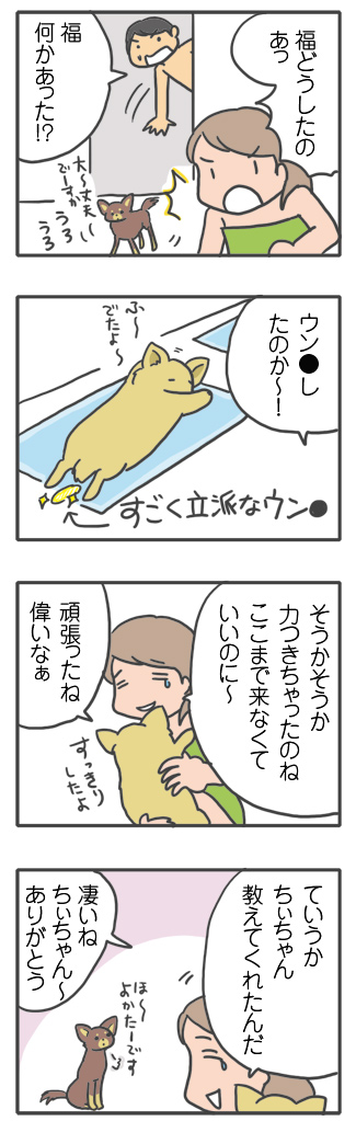 犬 風呂 教え 先住 末期 虹 天国 胸水 てんかん プレドニン ステロイド 発作 フェノバール 癌 ガン 分子標的薬 抗がん剤 老犬 心臓 保護犬 チワワ イラスト 絵 まんが 漫画 マンガ
