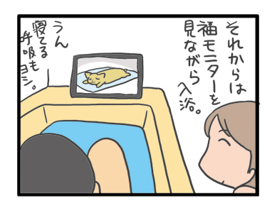 犬 風呂 教え 先住 末期 虹 天国 胸水 てんかん プレドニン ステロイド 発作 フェノバール 癌 ガン 分子標的薬 抗がん剤 老犬 心臓 保護犬 チワワ イラスト 絵 まんが 漫画 マンガ