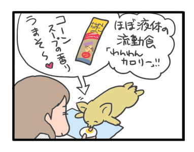 犬 お礼 感謝 ありがとう 昇 虹 天国 胸水 てんかん 発作 腫瘍 死 様子 状況 明け方 逝 癌 ガン 分子標的薬 抗がん剤 老犬 心臓 保護犬 チワワ イラスト 絵 まんが 漫画 マンガ