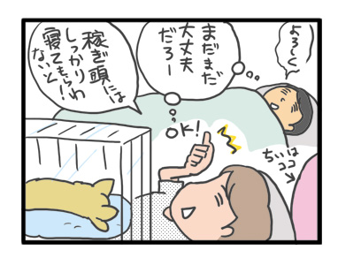 犬 お礼 感謝 ありがとう 昇 虹 天国 胸水 てんかん 発作 腫瘍 死 様子 状況 明け方 逝 癌 ガン 分子標的薬 抗がん剤 老犬 心臓 保護犬 チワワ イラスト 絵 まんが 漫画 マンガ