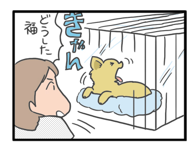 犬 お礼 感謝 ありがとう 昇 虹 天国 胸水 てんかん 発作 腫瘍 死 様子 状況 明け方 逝 癌 ガン 分子標的薬 抗がん剤 老犬 心臓 保護犬 チワワ イラスト 絵 まんが 漫画 マンガ