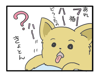 犬 お礼 感謝 ありがとう 昇 虹 天国 胸水 てんかん 発作 腫瘍 死 様子 状況 明け方 逝 癌 ガン 分子標的薬 抗がん剤 老犬 心臓 保護犬 チワワ イラスト 絵 まんが 漫画 マンガ