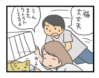 犬 お礼 感謝 ありがとう 昇 虹 天国 胸水 てんかん 発作 腫瘍 死 様子 状況 明け方 逝 癌 ガン 分子標的薬 抗がん剤 老犬 心臓 保護犬 チワワ イラスト 絵 まんが 漫画 マンガ