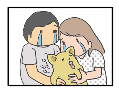 犬 お礼 感謝 ありがとう 昇 虹 天国 胸水 てんかん 発作 腫瘍 死 様子 状況 明け方 逝 癌 ガン 分子標的薬 抗がん剤 老犬 心臓 保護犬 チワワ イラスト 絵 まんが 漫画 マンガ