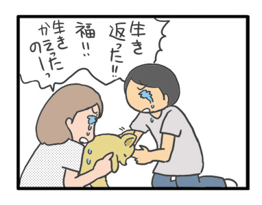 犬 お礼 感謝 ありがとう 昇 虹 天国 胸水 てんかん 発作 腫瘍 死 様子 状況 明け方 逝 癌 ガン 分子標的薬 抗がん剤 老犬 心臓 保護犬 チワワ イラスト 絵 まんが 漫画 マンガ