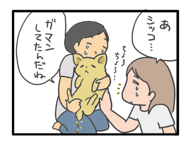 犬 お礼 感謝 ありがとう 昇 虹 天国 胸水 てんかん 発作 腫瘍 死 様子 状況 明け方 逝 癌 ガン 分子標的薬 抗がん剤 老犬 心臓 保護犬 チワワ イラスト 絵 まんが 漫画 マンガ