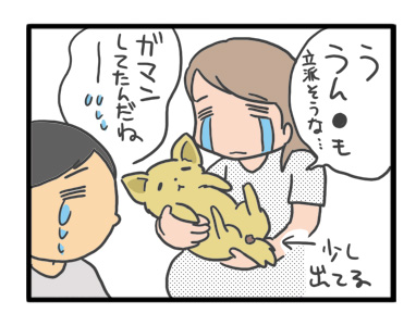 犬 お礼 感謝 ありがとう 昇 虹 天国 胸水 てんかん 発作 腫瘍 死 様子 状況 明け方 逝 癌 ガン 分子標的薬 抗がん剤 老犬 心臓 保護犬 チワワ イラスト 絵 まんが 漫画 マンガ