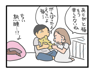 犬 お礼 感謝 ありがとう 昇 虹 天国 胸水 てんかん 発作 腫瘍 死 様子 状況 明け方 逝 癌 ガン 分子標的薬 抗がん剤 老犬 心臓 保護犬 チワワ イラスト 絵 まんが 漫画 マンガ