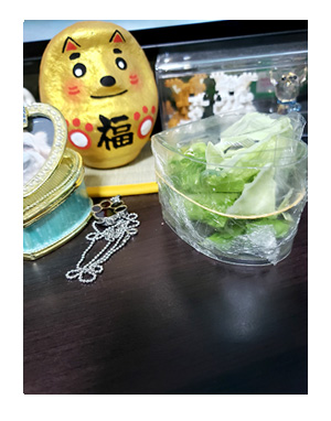 犬 買物 一ヶ月 亡くなっても スーパー 介護 食 ドラえもん ニット モンシロ ヤトウムシ 飼育 育 昇 虹 天国 老犬 心臓 保護犬 チワワ イラスト 絵 まんが 漫画 マンガ