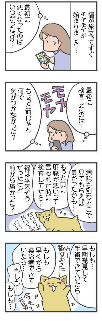 犬 モヤモヤ 治療 病院 病気 薬 確認 葬儀 死後 昇 虹 天国 胸水 ステロイド 発作 癌 ガン 分子標的薬 抗がん剤 老犬 心臓 保護犬 チワワ イラスト 絵 まんが 漫画 マンガ