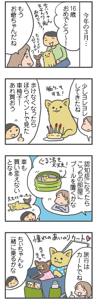 犬 老後 カート 憧 想 老犬介護 介護 生活 大変 虹 天国 胸水 ステロイド 発作 癌 ガン 分子標的薬 抗がん剤 老犬 心臓 保護犬 チワワ イラスト 絵 まんが 漫画 マンガ