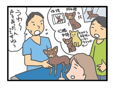 どきどきワクチン 高幡不動 ガウリン福と保護犬ちぃ 吠え老犬日記