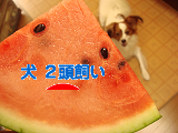 ¤Ë¤Û¤ó¥Ö¥í¥°Â¼ ¸¤¥Ö¥í¥° ¸¤ £²Æ¬»ô¤¤¤Ø