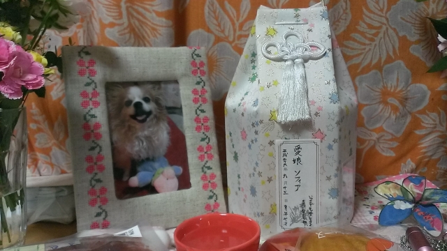 IMAG2430.jpg