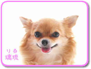 璃琉