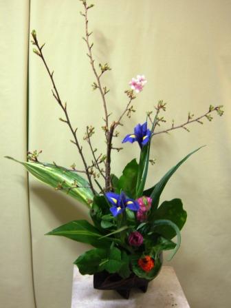河津桜