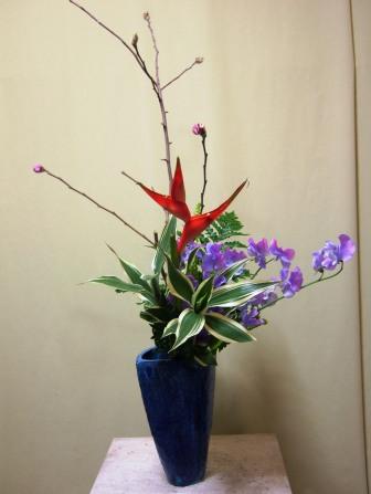 べにこぶし