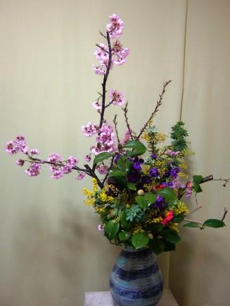 ゆきわり桜