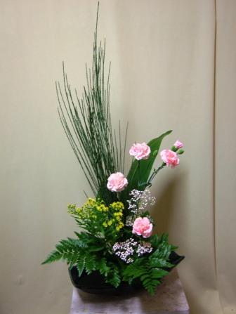 エニシダ