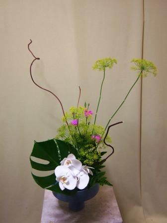 ベニヅル
