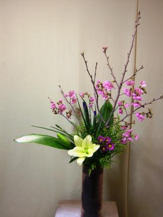 陽光桜