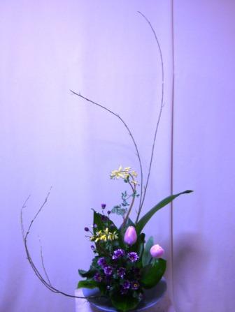 芽やなぎ