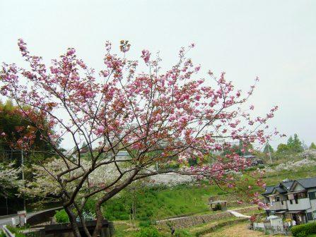 浄水場